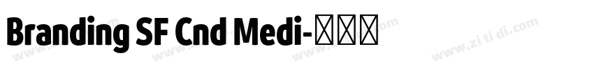 Branding SF Cnd Medi字体转换 Branding SF Cnd Medi字体转换